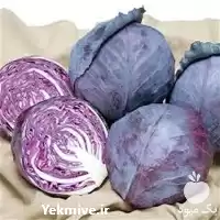 بذر کلم برگ قرمز هیبرید روبی در اصفهان در گروه خرید و فروش انواع بذر در یکمیوه
