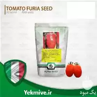 فروش بذر گوجه فرنگی لئوناردو در اردبیل در گروه خرید و فروش بذر گوجه در یکمیوه