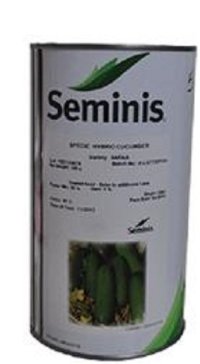 بذر خیار رویال _ فروش ویژه در کرمان  در گروه خرید و فروش بذر خیار در یکمیوه