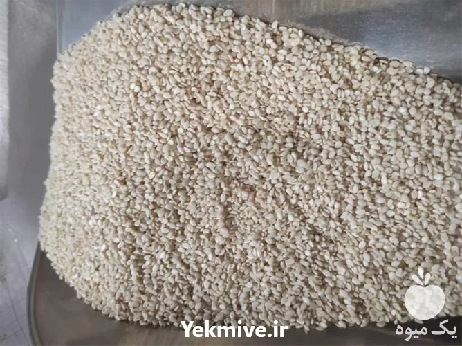 فروش گیاهان صنعتی در گروه خرید و فروش دانه های روغنی در یکمیوه -عکس1