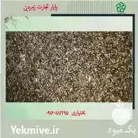 فروش عمده بذر خار مریم شرکت در بروجرد در گروه خرید و فروش گیاهان دارویی در یکمیوه