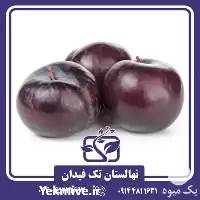 خرید قیمت نهال آلو بلک اسپلندور در گروه خرید و فروش نهال در یکمیوه