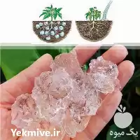 قیمت خرید پودر سوپر جاذب کشاورزی در گروه خرید و فروش انواع کود کشاورزی در یکمیوه
