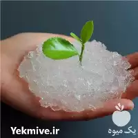 خرید سوپر جاذب و نگهدارنده آب در گروه انواع محصولات خاک و تغذیه در یکمیوه