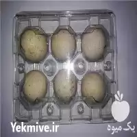 تخم کبک نطفه دار در مشهد در خراسان رضوی در گروه انواع تخم ها در یکمیوه