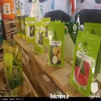 فروش بذر هندوانه گوجه فرنگی ملون در گروه خرید و فروش بذر هندوانه در یکمیوه