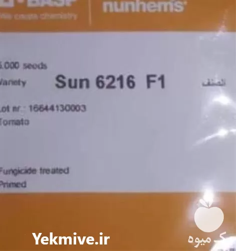 فروش بذر گوجه 6216 f 1 باسف المان در تهران در گروه خرید و فروش بذر گوجه در یکمیوه -عکس1