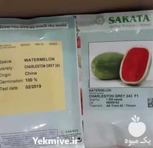 بذر هندوانه چارلستون طعم میوه شیرین در تهران در گروه خرید و فروش بذر هندوانه در یکمیوه -عکس1
