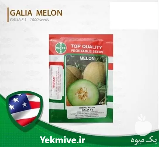 قیمت خرید بذر خربزه ملون الوا در خوزستان در گروه خرید و فروش بذر خربزه در یکمیوه -عکس1