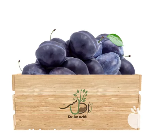 فروش عمده نهال آلو خرمایی در کرج در گروه خرید و فروش نهال در یکمیوه -عکس1