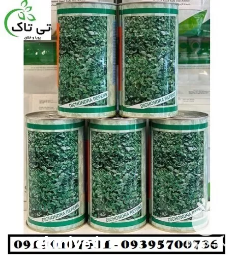 فروش بذر چمن دایکوندرا در قم در گروه خرید و فروش بذر چمن در یکمیوه -عکس1