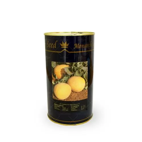 فروش بذر ملون آناناسی مونارک در خراسان رضوی در گروه خرید و فروش بذر ملون در یکمیوه -عکس1