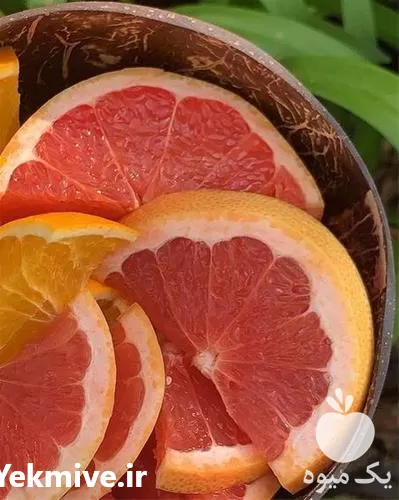 خرید نهال خاص نهال گریپ فروت در فارس در گروه خرید و فروش نهال میوه در یکمیوه -عکس1