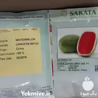 بذر هندوانه چارلستون طعم میوه شیرین در تهران در گروه خرید و فروش بذر هندوانه در یکمیوه