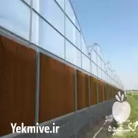 ساخت گلخانه اسپانیایی در تهران در گروه سازنده در یکمیوه