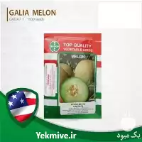 قیمت خرید بذر خربزه ملون الوا در خوزستان در گروه خرید و فروش بذر خربزه در یکمیوه