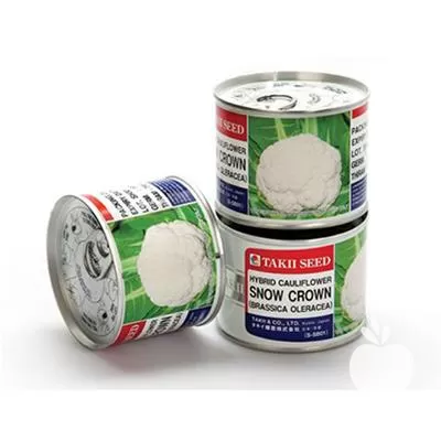 خرید قیمت بذر گل کلم اسنو در تهران در گروه خرید و فروش بذر گل در یکمیوه -عکس1