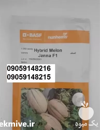 بذر خربزه جانا فروش تضمینی در گروه خرید و فروش بذر خربزه در یکمیوه -عکس1