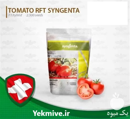 بذر گوجه فرنگی هیبرید فضای باز در خراسان رضوی در گروه خرید و فروش بذر گوجه در یکمیوه -عکس1