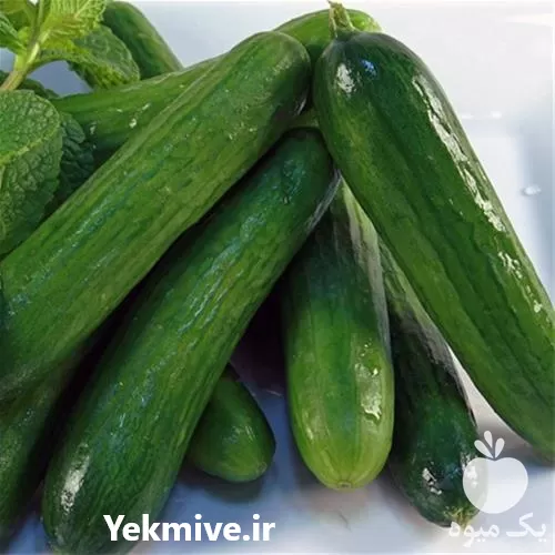 بذرخیار سوپر استار امریکا قیمت بذر در اردبیل در گروه خرید و فروش بذر خیار در یکمیوه -عکس1