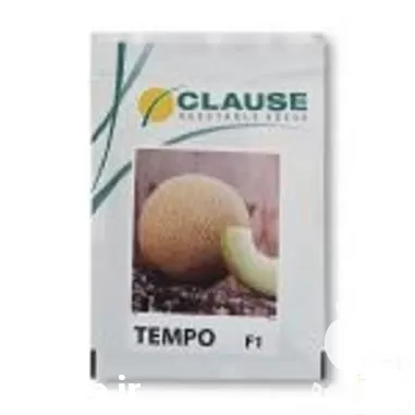 فروش بذر خربزه تمپو کلوز در سمنان در گروه خرید و فروش بذر خربزه در یکمیوه -عکس1