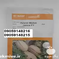بذر خربزه جانا فروش تضمینی در گروه خرید و فروش بذر خربزه در یکمیوه