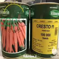 فروش بذر هویج کریستو f 1 در گروه خرید و فروش بذر هویج در یکمیوه