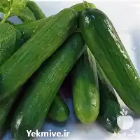 بذرخیار سوپر استار امریکا قیمت بذر در اردبیل در گروه خرید و فروش بذر خیار در یکمیوه