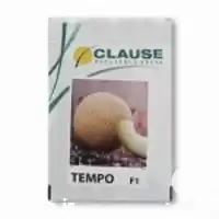 فروش بذر خربزه تمپو کلوز در سمنان در گروه خرید و فروش بذر خربزه در یکمیوه