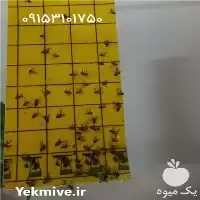 پسیل پسته چسب درزگیر کاغذ سیلیکون در مشهد در گروه خرید و فروش پسته در یکمیوه