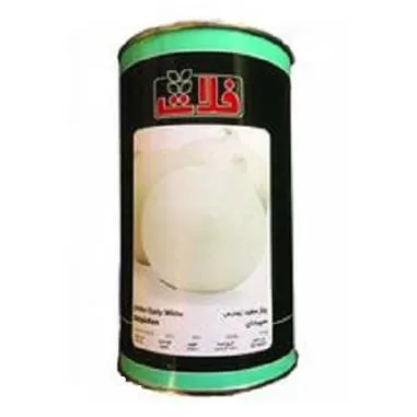 قیمت خرید بذر پیاز سپیدان فلات در زنجان در گروه خرید و فروش بذر پیاز در یکمیوه -عکس1