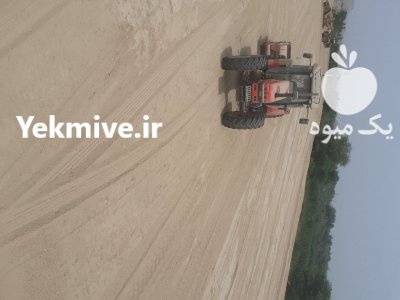 فروش تراکتور سام مدل 1390 در گروه خرید و فروش تراکتور سام در یکمیوه -عکس1