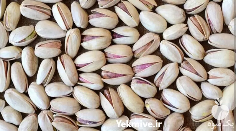 مستقیم بدون واسطه پسته احمد اقایی در گروه خرید و فروش پسته در یکمیوه -عکس1