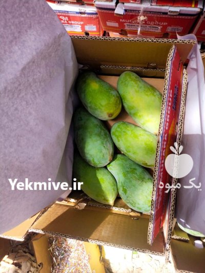 صادرات انبه از پاکستان در گروه خرید و فروش انبه در یکمیوه -عکس2