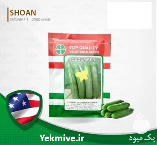 خرید بهترین بذر خیار زمینی شوان در گروه خرید و فروش بذر خیار در یکمیوه -عکس1