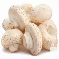 آموزش پرورش قارچ دکمه ای در گروه دوره آموزش کشاورزی در یکمیوه