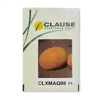 بذر خربزه آناناسی 08 کلوز فرانسه در خراسان رضوی در گروه خرید و فروش بذر خربزه در یکمیوه