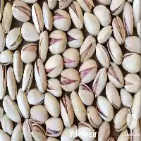 مستقیم بدون واسطه پسته احمد اقایی در گروه خرید و فروش پسته در یکمیوه