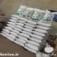 خرید عرضه کننده بذر یونجه در آذربایجان شرقی در گروه خرید و فروش بذر یونجه در یکمیوه