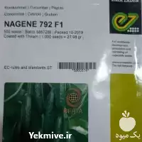 فروش بذر خیار ناگین در کرمان  در گروه خرید و فروش بذر خیار در یکمیوه