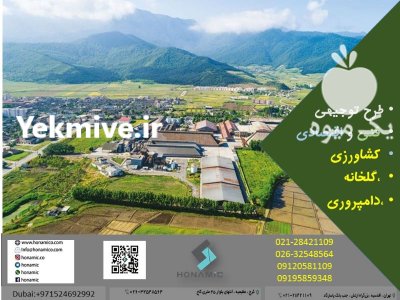 ارائه طرح توجیهی کشاورزی دامداری گلخانه در گروه دوره آموزش کشاورزی در یکمیوه -عکس1