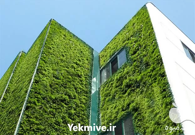 اجرای دیوار سبز در باغ گل در تهران در گروه سازنده در یکمیوه -عکس1