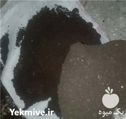 کود خفاش صد در صد خالص در بهشهر در گروه خرید و فروش کود خفاش در یکمیوه -عکس1