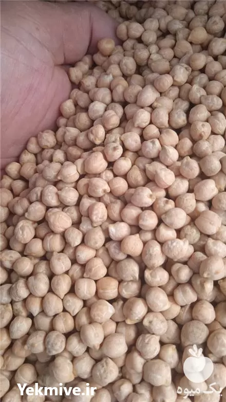 فروش نخود خام روسی در تبریز در گروه خرید و فروش غلات و حبوبات در یکمیوه -عکس1