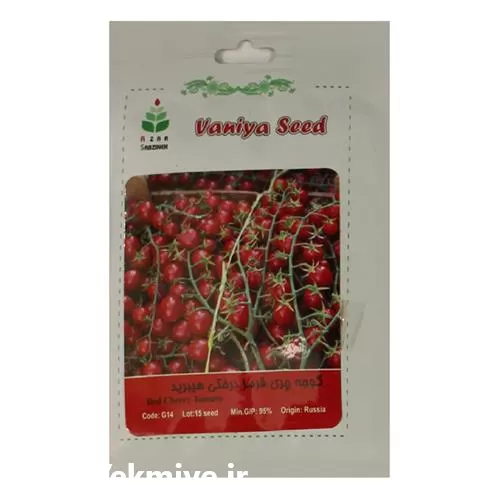 فروش بذر گوجه چری گیلاسی در گروه خرید و فروش بذر گوجه در یکمیوه -عکس1