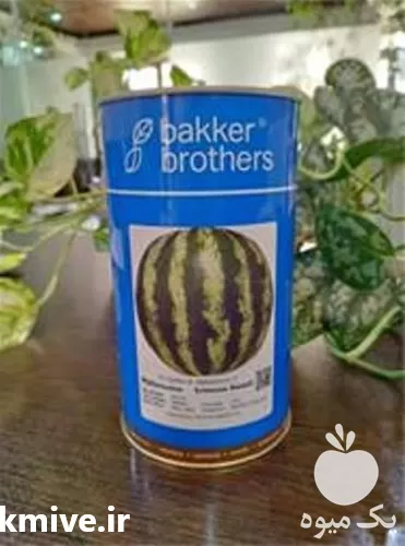 قیمت خرید بذر هندوانه بیکر در اردبیل در گروه خرید و فروش بذر هندوانه در یکمیوه -عکس1