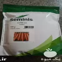 ارسال و فروش بذر هویج نانتس در تهران در گروه خرید و فروش بذر هویج در یکمیوه
