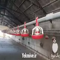 خرید تجهیزات مرغداری با مرغوب ترین در گروه تجهیزات مرغداری در یکمیوه