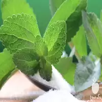 قیمت خرید گیاه استویا استروئید در آذربایجان شرقی در گروه خرید و فروش گیاهان دارویی در یکمیوه