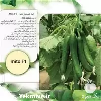 بذر خیار میتو قیمت بذر خیار در گروه خرید و فروش بذر خیار در یکمیوه